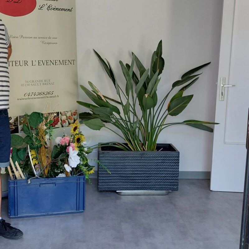 projet restaurant avant